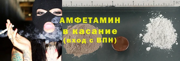 сатива Няндома