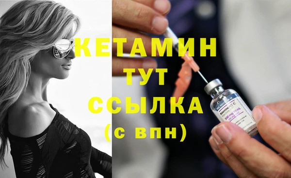 шишки Осинники