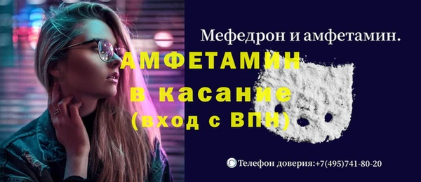 шишки Осинники