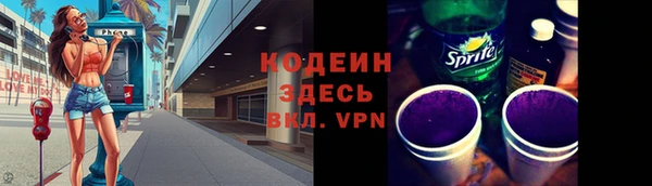 шишки Осинники