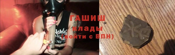 шишки Осинники