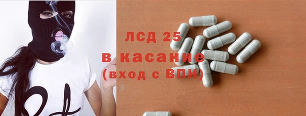 шишки Осинники