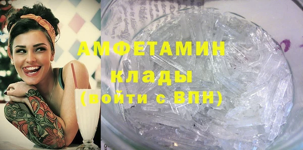 шишки Осинники