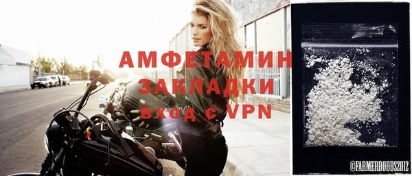 шишки Осинники