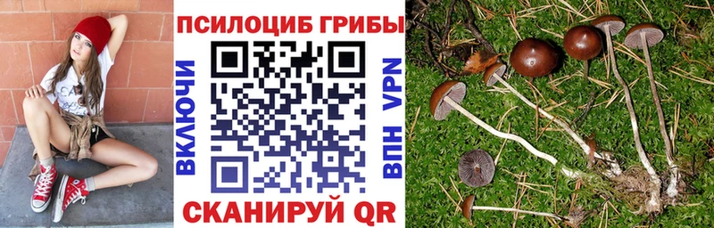 Галлюциногенные грибы Magic Shrooms Кущёвская